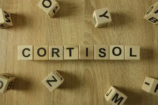 The Hidden Connection: How Stress Shapes Your Fitness and Body Composition 2 Image saying "Cortisol" and how stress Busby impacts your wellbeing and bodies shape